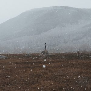 冬の蠅-梶井基次郎-読書感想まとめ-イメージ